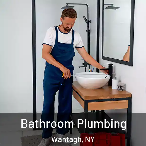  Bathroom Plumbing Wantagh, NY