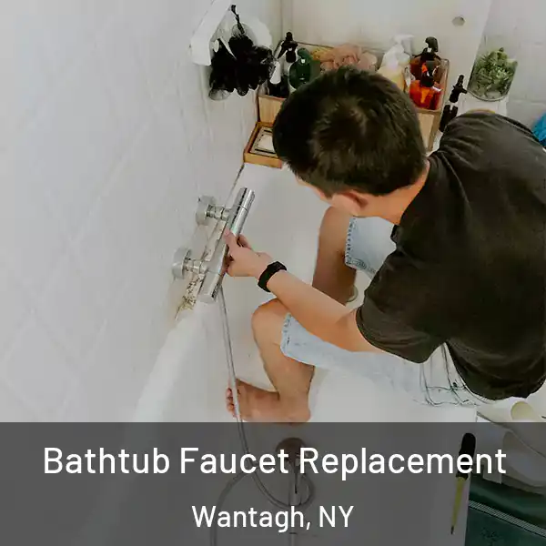 Bathtub Faucet Replacement Wantagh, NY