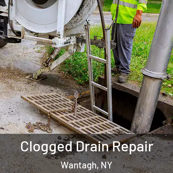  Clogged Drain Repair Wantagh, NY