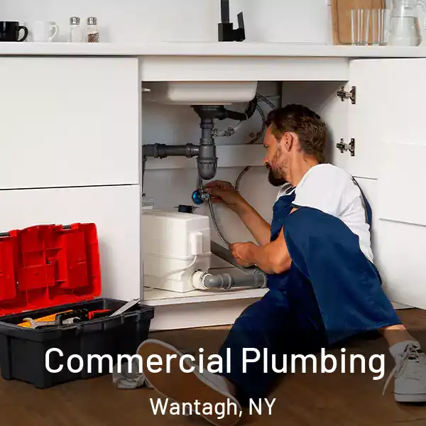  Commercial Plumbing Wantagh, NY