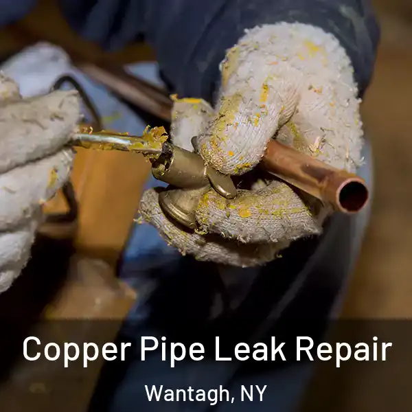  Copper Pipe Leak Repair Wantagh, NY