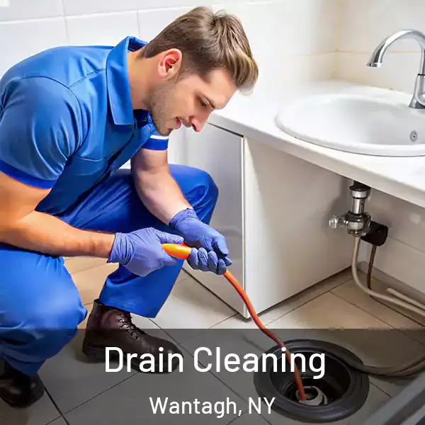  Drain Cleaning Wantagh, NY