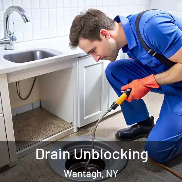  Drain Unblocking Wantagh, NY