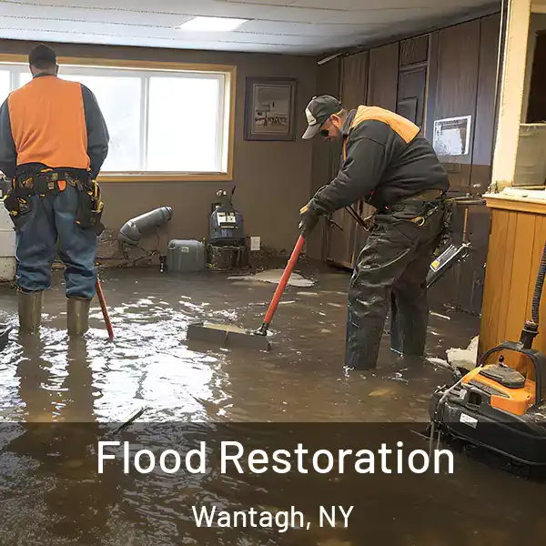  Flood Restoration Wantagh, NY