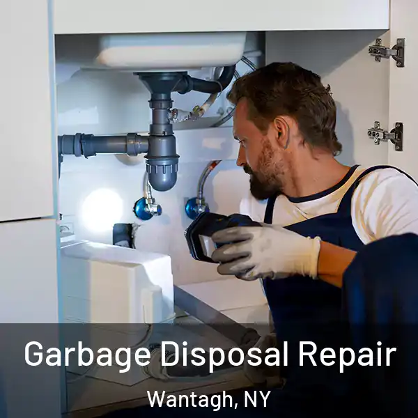  Garbage Disposal Repair Wantagh, NY