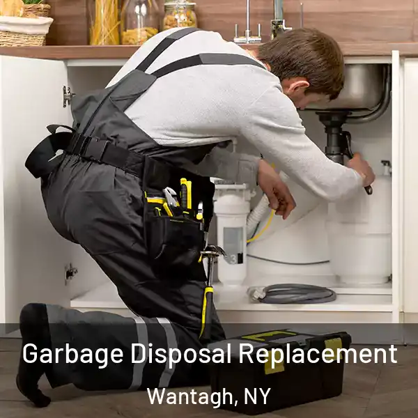  Garbage Disposal Replacement Wantagh, NY