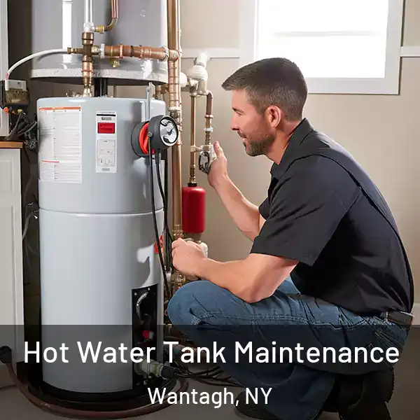  Hot Water Tank Maintenance Wantagh, NY