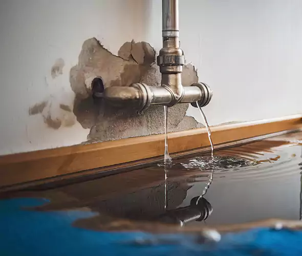 Professional Water Damage Restoration Experts in Wantagh, NY — Fast, Reliable & Certified