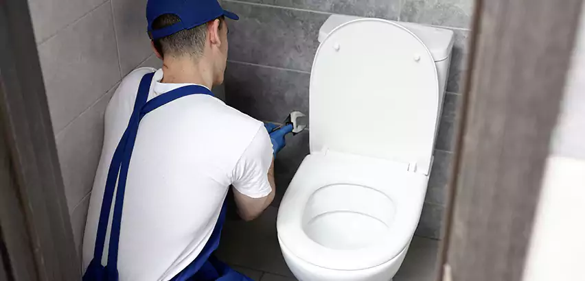 Toilet Lid Replacement in Wantagh