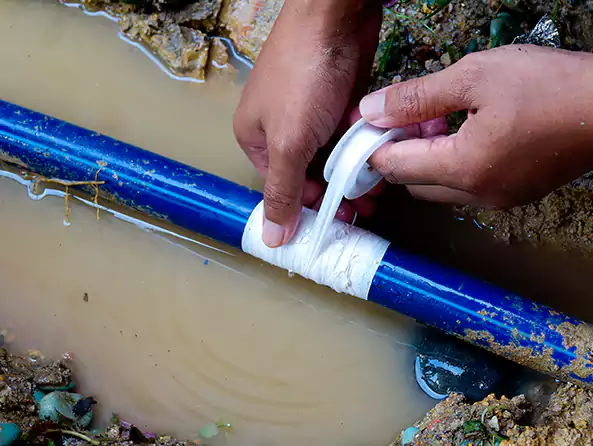  Why Choose Wantagh Plumbing for Leak Detection in Wantagh, NY?]