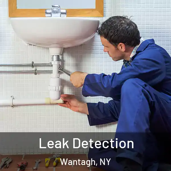  Leak Detection Wantagh, NY