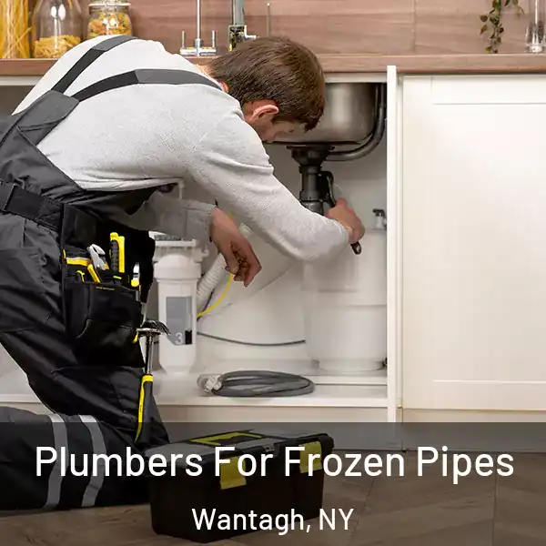  Plumbers For Frozen Pipes Wantagh, NY