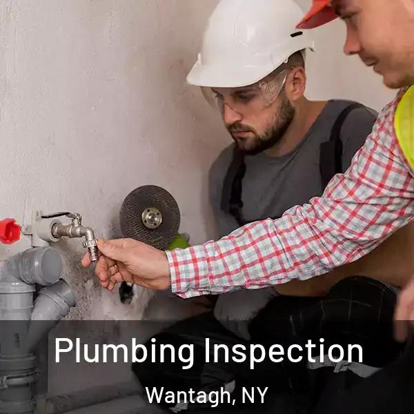  Plumbing Inspection Wantagh, NY