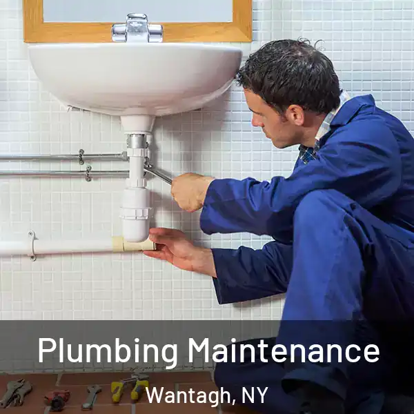  Plumbing Maintenance Wantagh, NY