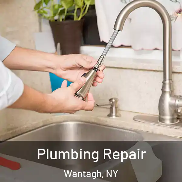  Plumbing Repair Wantagh, NY