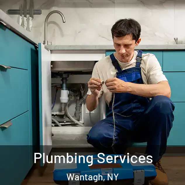 Plumbing Services Wantagh, NY