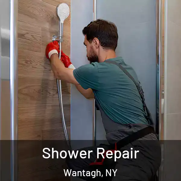  Shower Repair Wantagh, NY