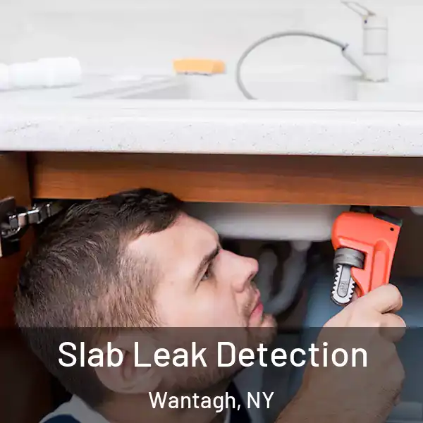  Slab Leak Detection Wantagh, NY