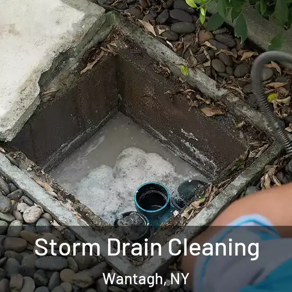  Storm Drain Cleaning Wantagh, NY
