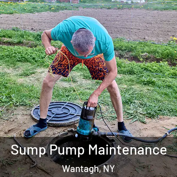  Sump Pump Maintenance Wantagh, NY