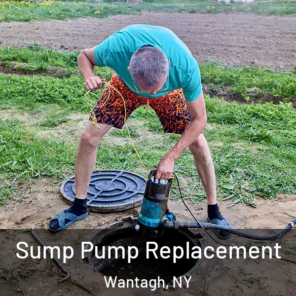  Sump Pump Replacement Wantagh, NY