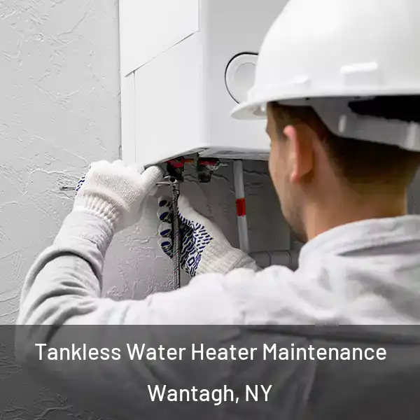  Tankless Water Heater Maintenance Wantagh, NY