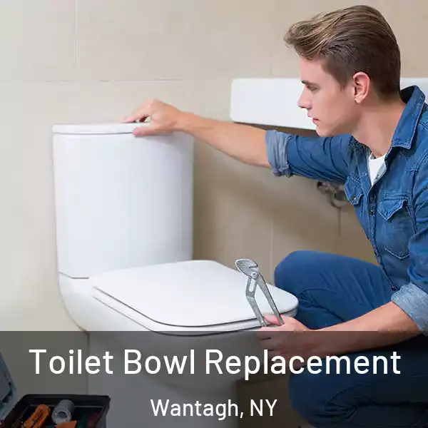  Toilet Bowl Replacement Wantagh, NY