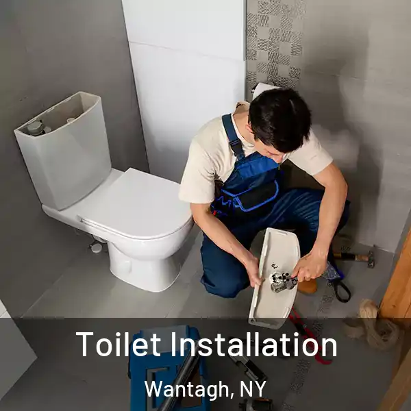  Toilet Installation Wantagh, NY