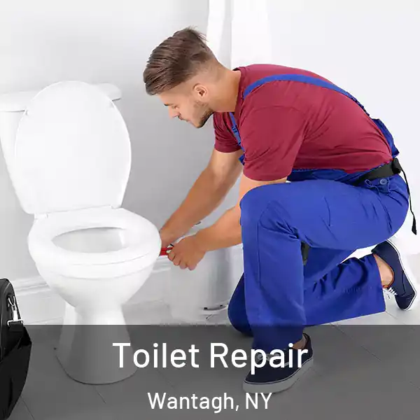  Toilet Repair Wantagh, NY