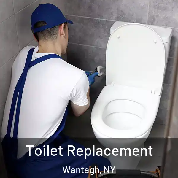  Toilet Replacement Wantagh, NY