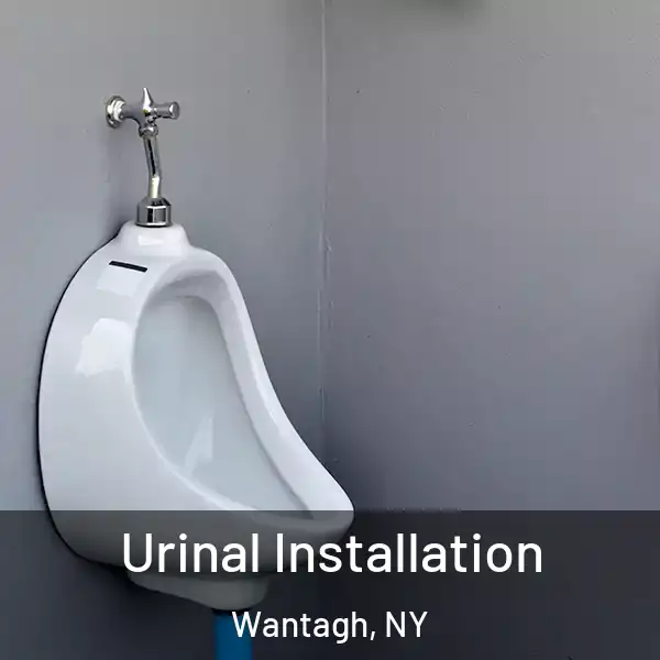  Urinal Installation Wantagh, NY