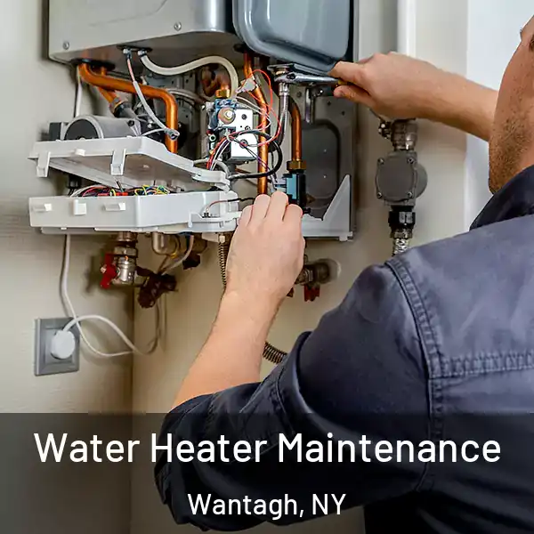  Water Heater Maintenance Wantagh, NY