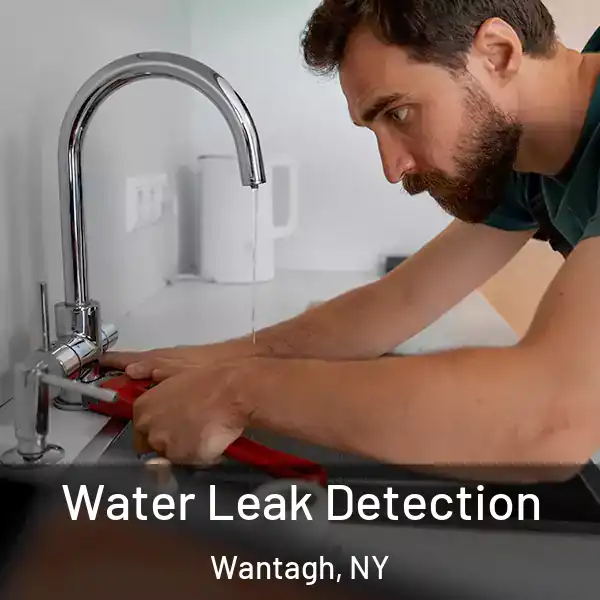  Water Leak Detection Wantagh, NY